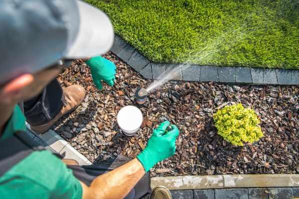 5 Crucial Ways to Maintain a Yard in the Summer In Oklahoma