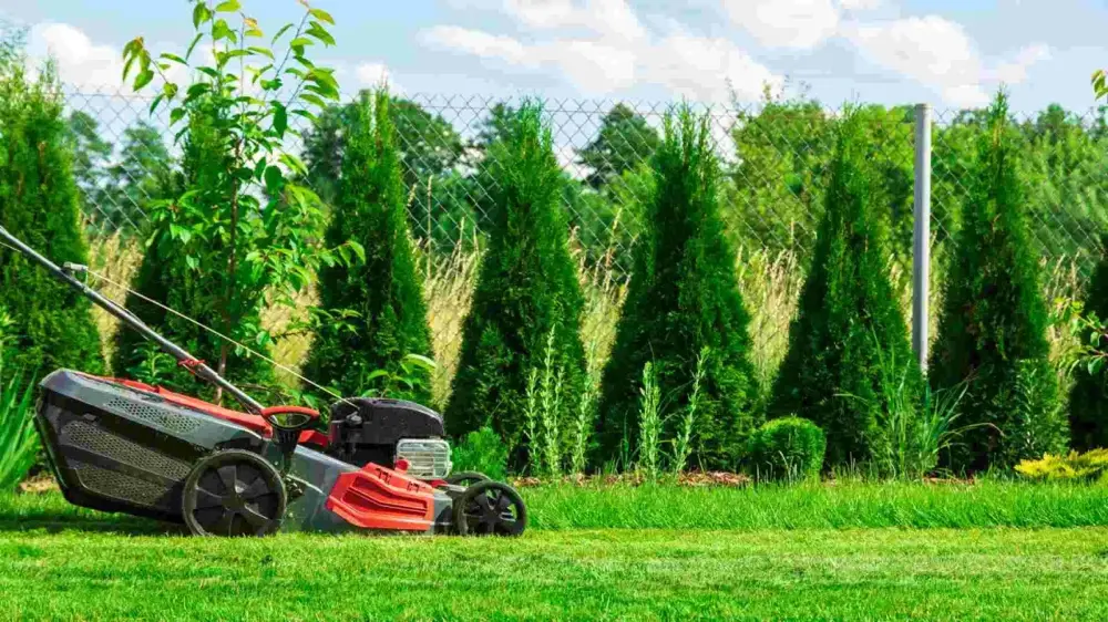 Become a Partner With Boomin Greens