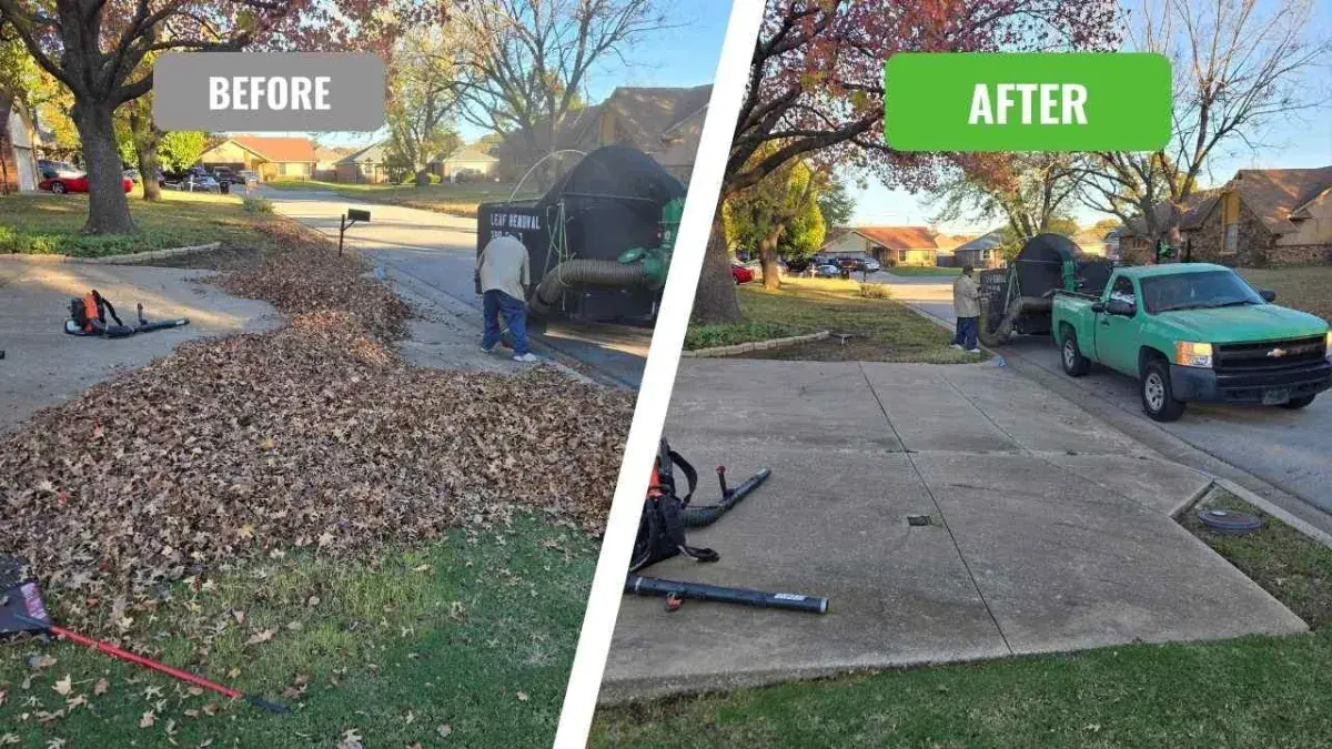 Before and After Leaf Collection in Tulsa From Boomin Greens