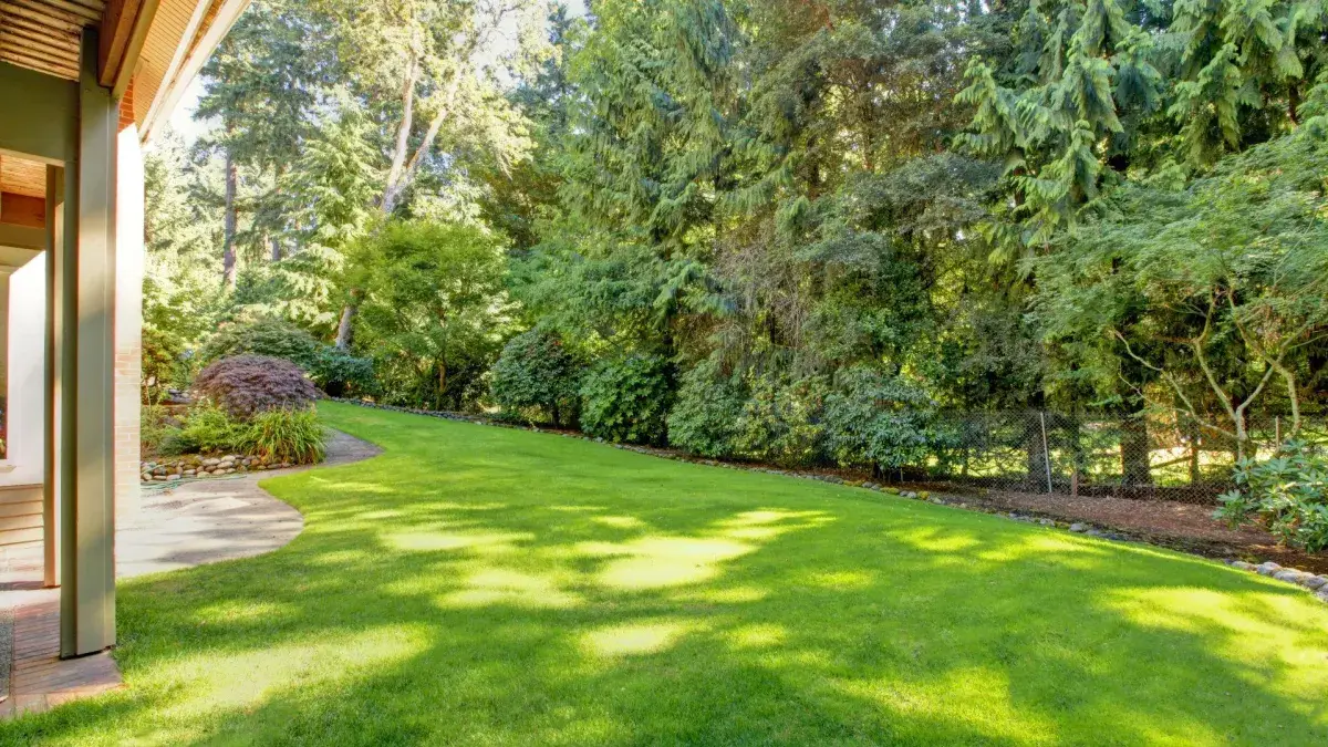 Top Rated Tulsa Landscaping