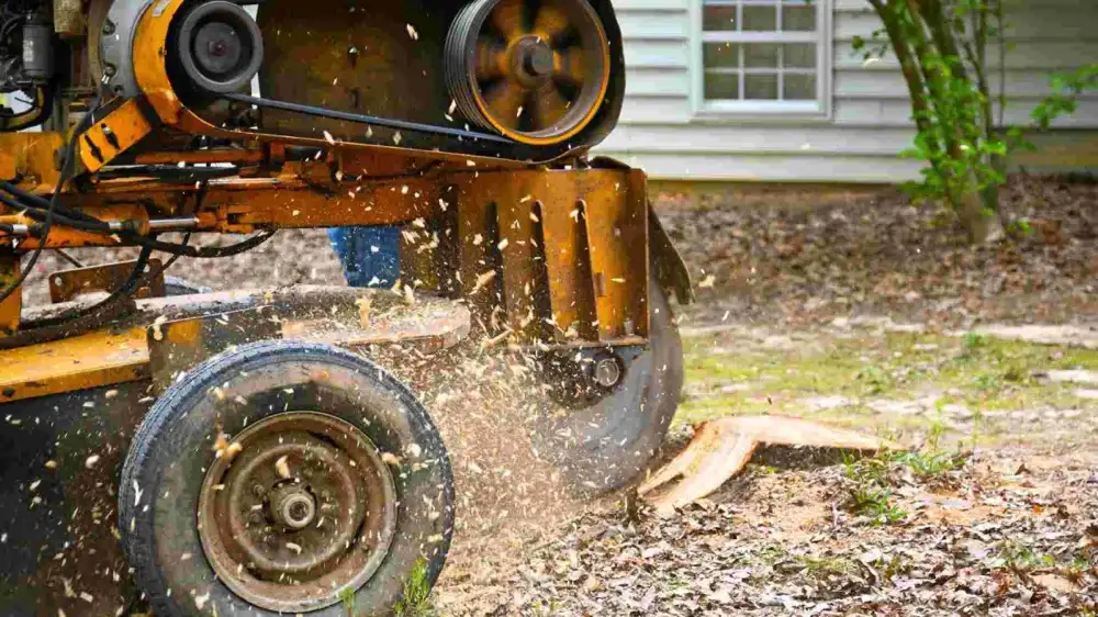 Tree Removal Near Tulsa OK