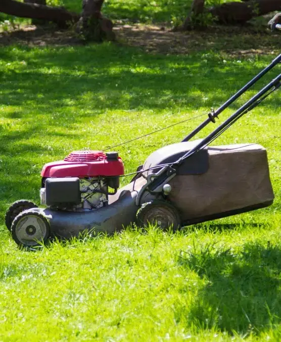 Tulsa Lawn Mowing Services