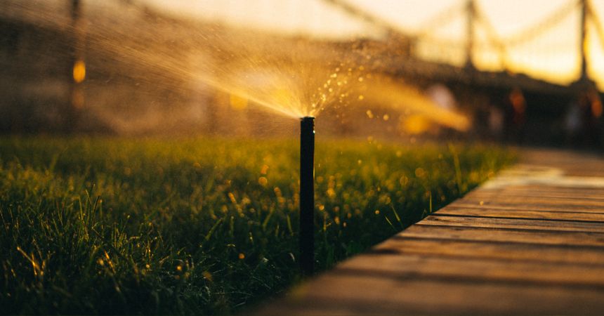 When is the best time to water your lawn