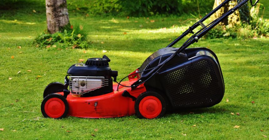 how often should you cut your grass