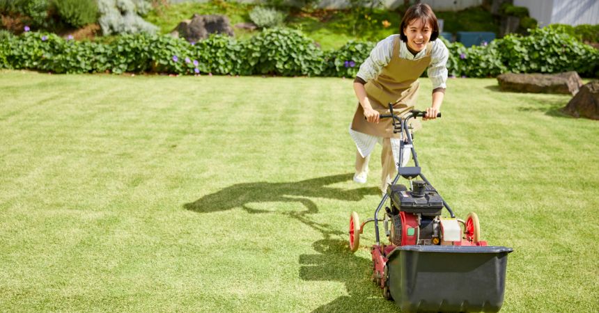 how often should you mow your lawn in summer