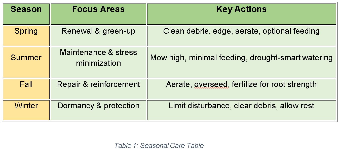how to care for your lawn grass