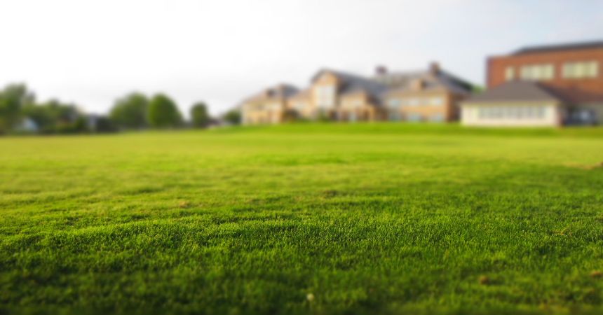 ideal schedule for mowing grass