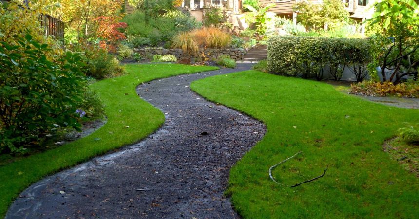 cleaning up yard by removing leaves