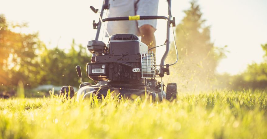 what is the best time to mow your lawn grass