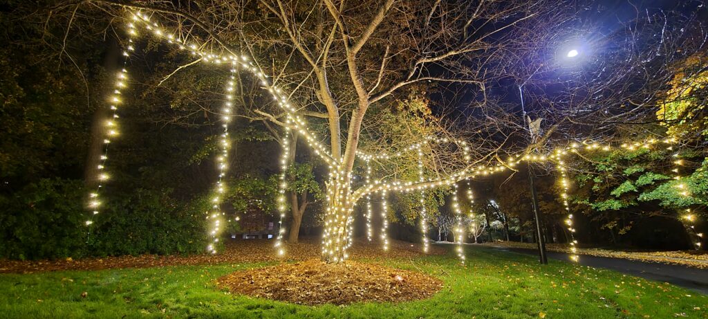 TREE christmas lights