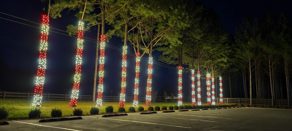 red and white mini lights