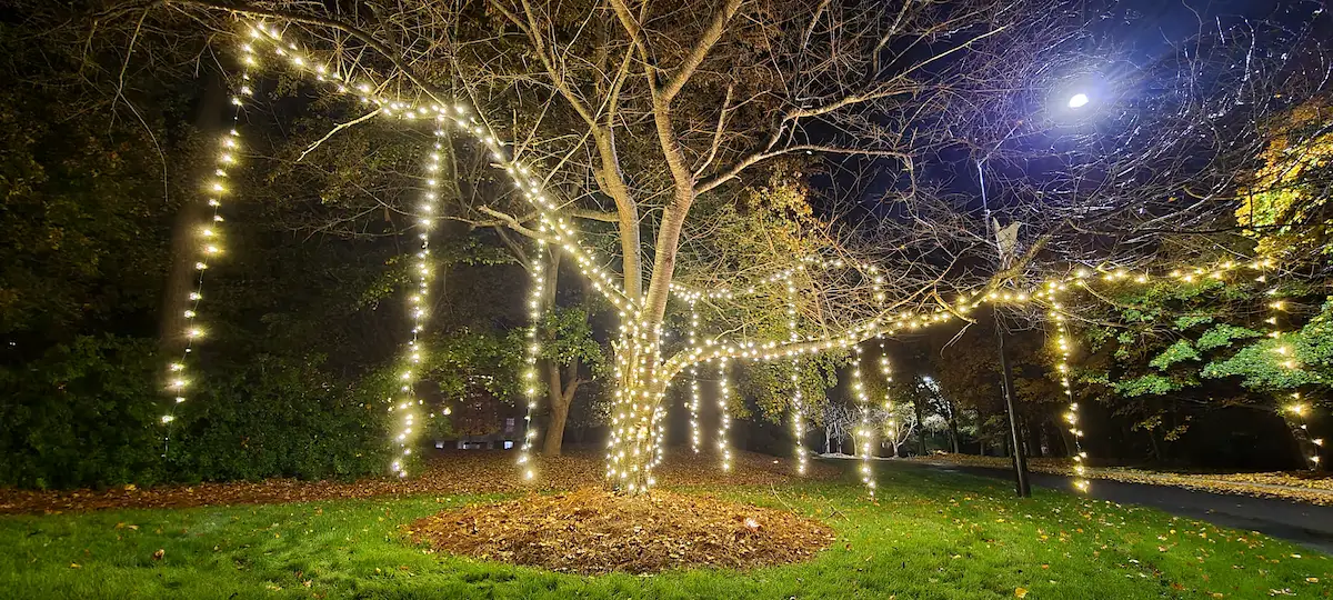 Boomin Greens Christmas Light Service Gallery 6