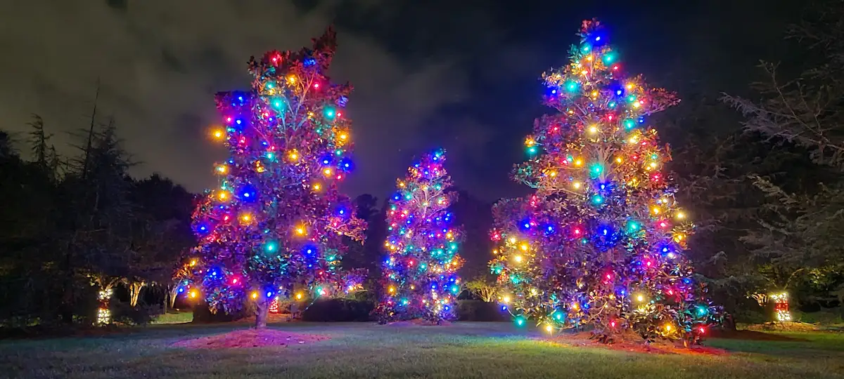 Boomin Greens Christmas Light Service Gallery 8