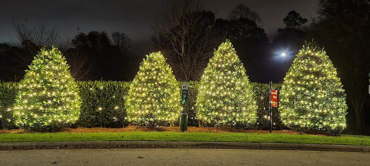 Boomin Greens Christmas Light Service Gallery 9
